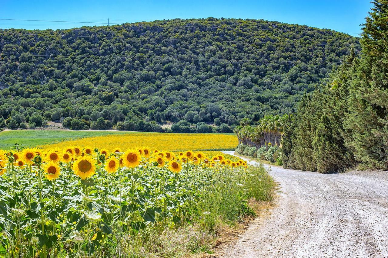 Alterhome Private Villa Cortijo Sierra Y Lago Arcos de la Frontera Εξωτερικό φωτογραφία