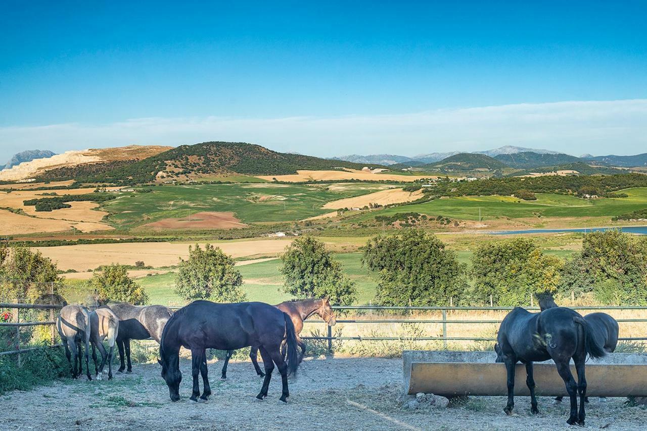 Alterhome Private Villa Cortijo Sierra Y Lago Arcos de la Frontera Εξωτερικό φωτογραφία
