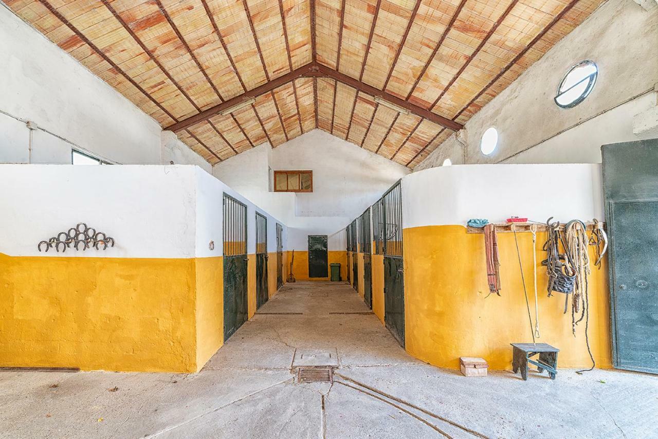 Alterhome Private Villa Cortijo Sierra Y Lago Arcos de la Frontera Εξωτερικό φωτογραφία