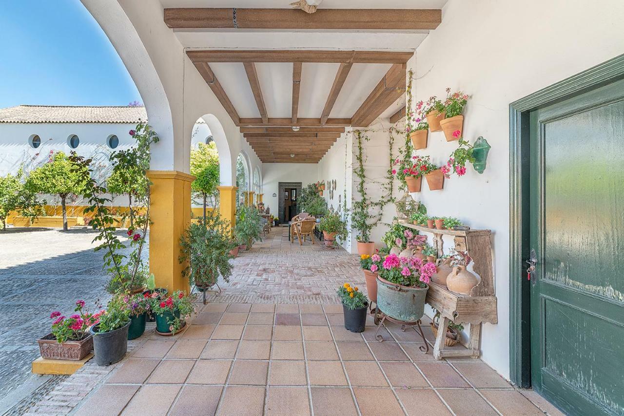 Alterhome Private Villa Cortijo Sierra Y Lago Arcos de la Frontera Εξωτερικό φωτογραφία