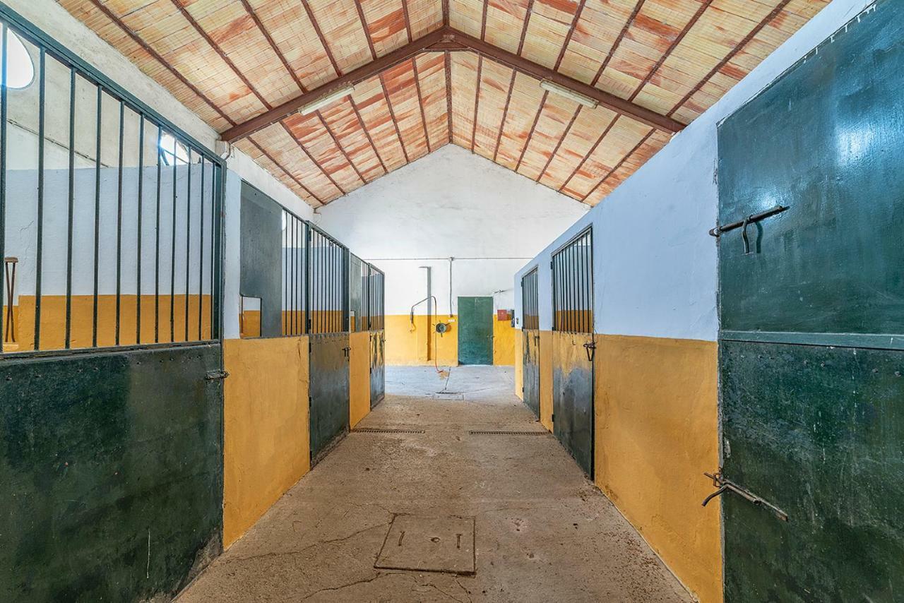 Alterhome Private Villa Cortijo Sierra Y Lago Arcos de la Frontera Εξωτερικό φωτογραφία