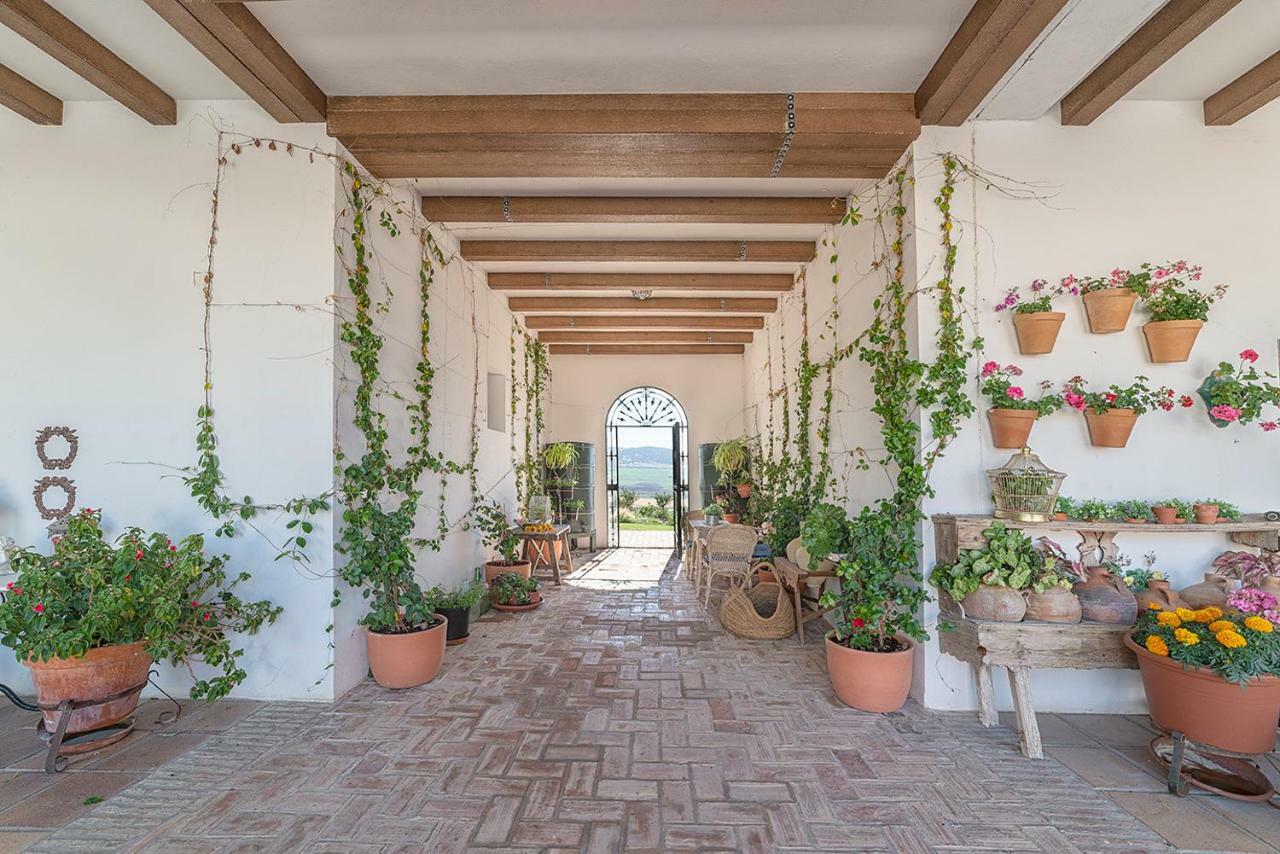 Alterhome Private Villa Cortijo Sierra Y Lago Arcos de la Frontera Εξωτερικό φωτογραφία