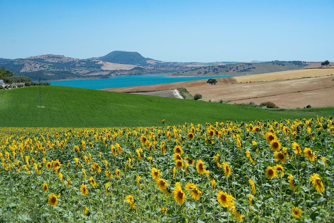 Alterhome Private Villa Cortijo Sierra Y Lago Arcos de la Frontera Εξωτερικό φωτογραφία